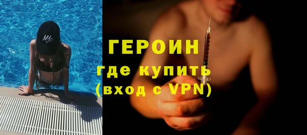 гидра Горняк