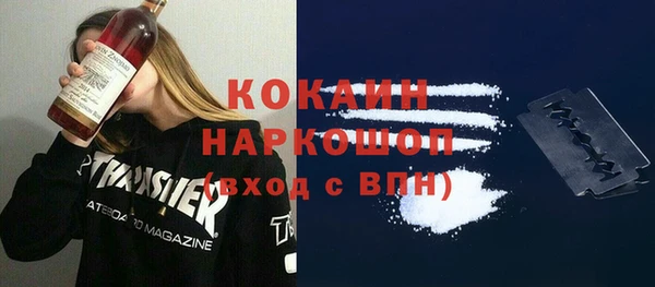 гидра Горняк