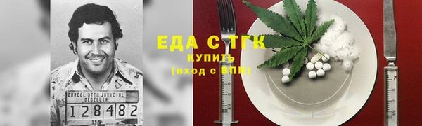 гидра Горняк