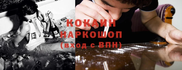 гидра Горняк