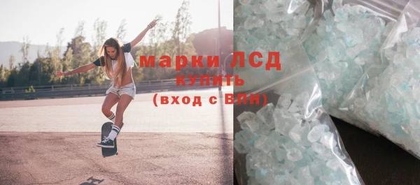 гидра Горняк
