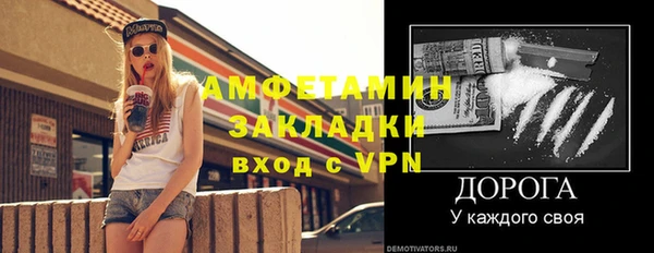 гидра Горняк